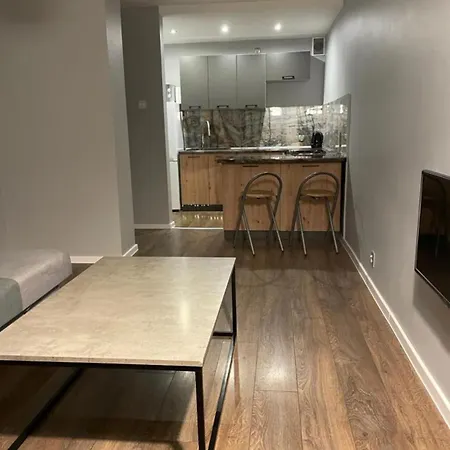Pod Lasem Apartment Bytom